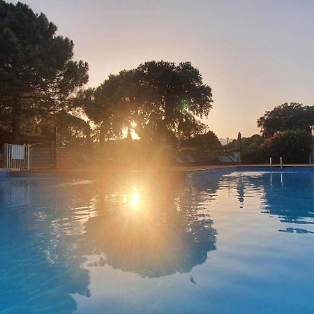 Fiori Di Cala Rossa Appartement T3 Dans Residence Hotelliere Chez Virginie Lecci Εξωτερικό φωτογραφία