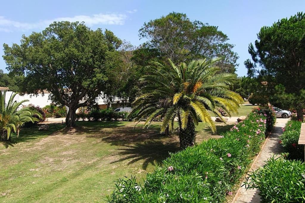 Fiori Di Cala Rossa Appartement T3 Dans Residence Hotelliere Chez Virginie Lecci Εξωτερικό φωτογραφία